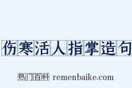 伤寒活人指掌造句是什么意思的图片